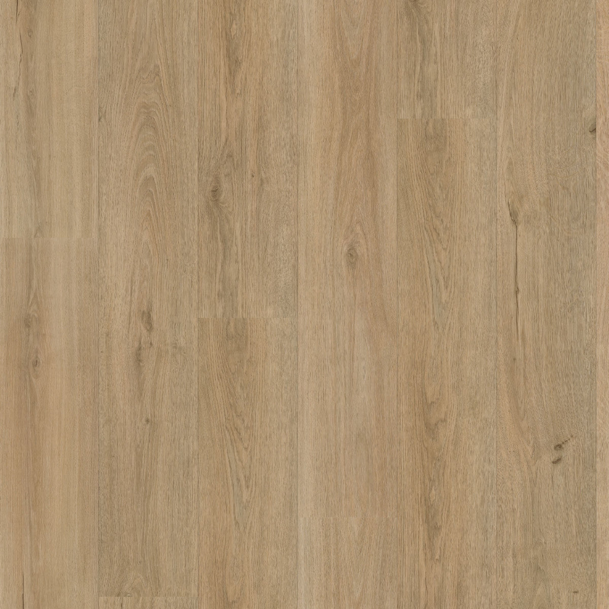 VivaFloors - Oak 7240