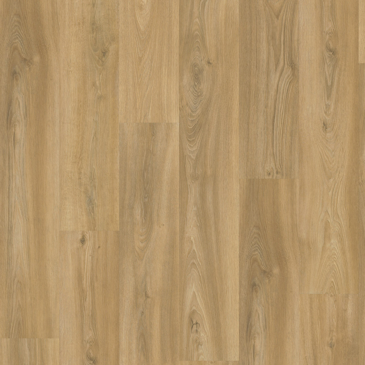 VivaFloors - Oak 3520