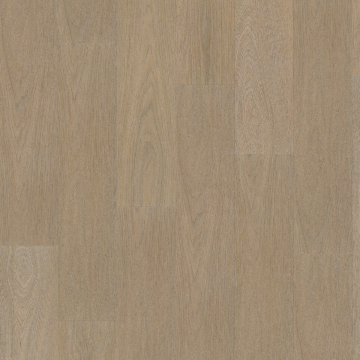 VivaFloors - Oak 7820