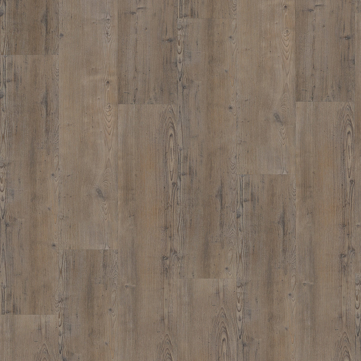 VivaFloors - Coniferous Wood 4205