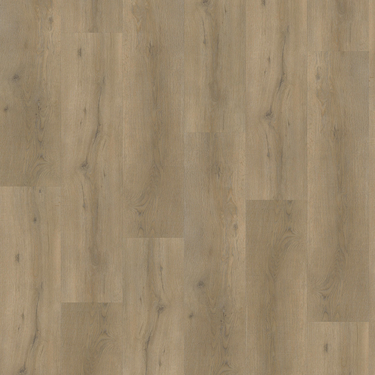 VivaFloors - Oak 6850