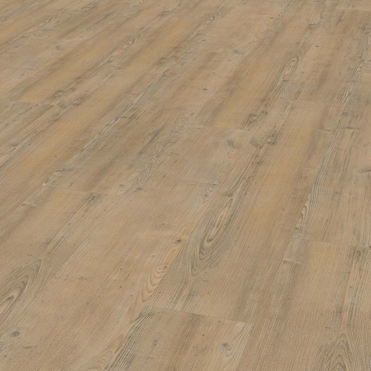 VivaFloors - Coniferous Wood 4203