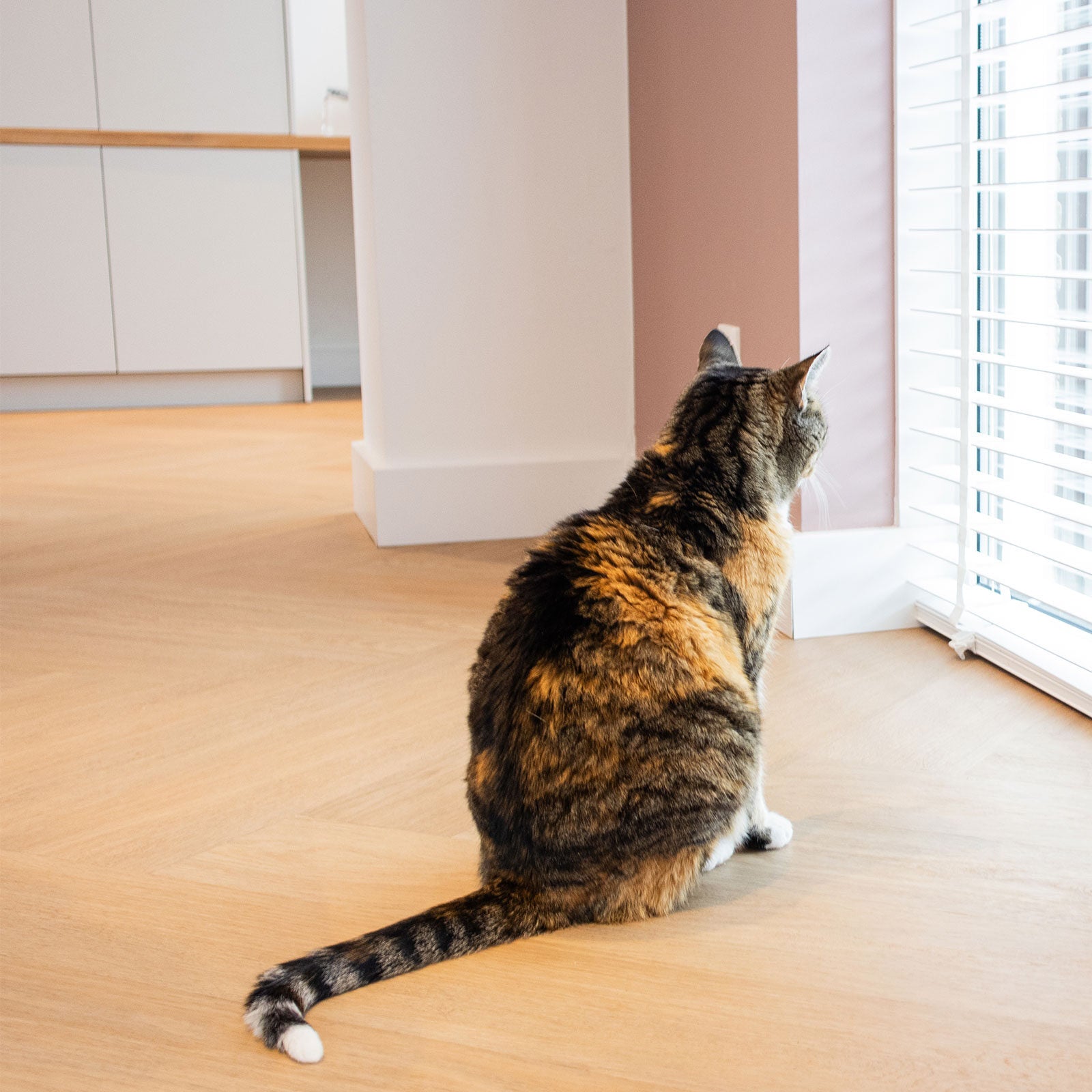 VivaFloors - Walvisgraat 7870