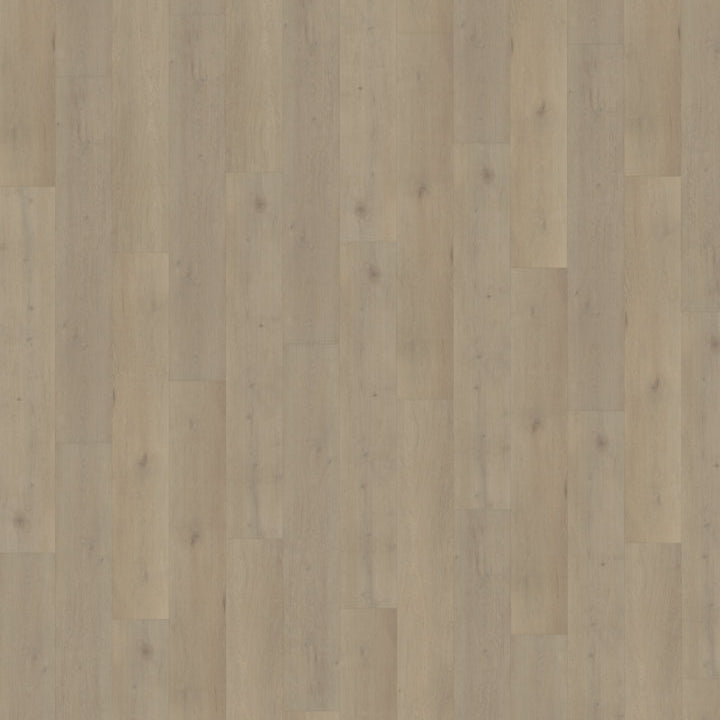 Woonwens Collection – PVC Click & Dryback 2025850