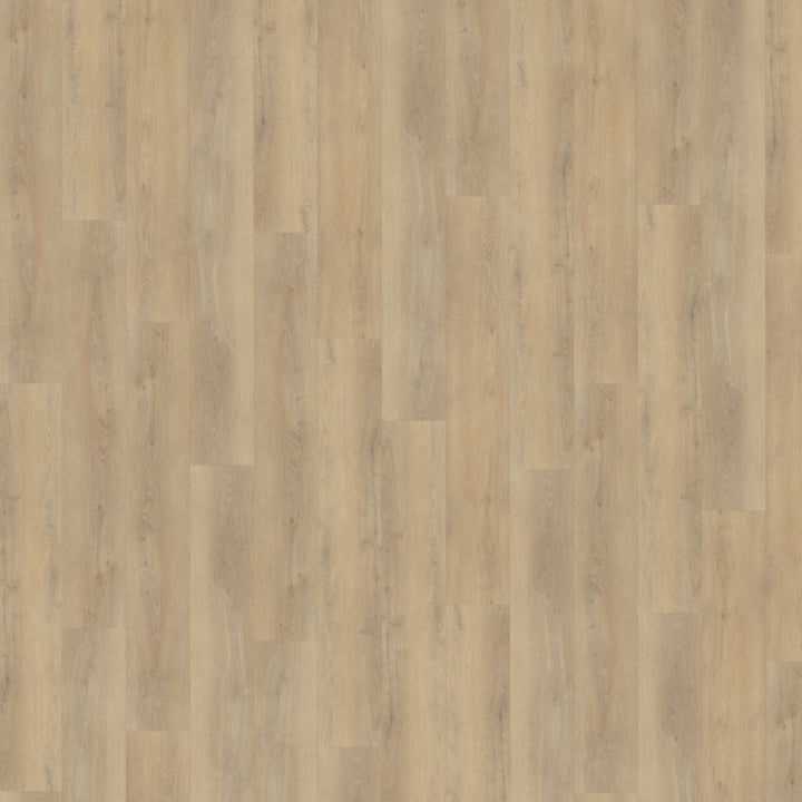 Thuistint collectie –  PVC Click & Dryback 2025720