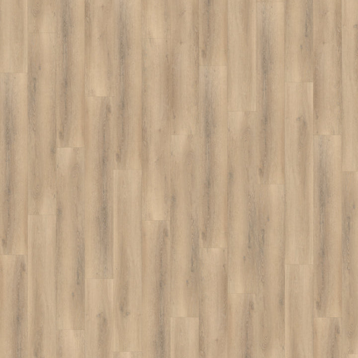Home Shade collection – PVC Click & Dryback 2025750