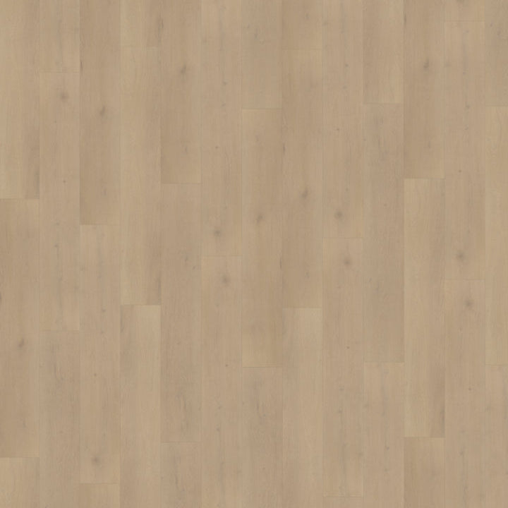 Thuistint collectie –  PVC Click & Dryback 2025770