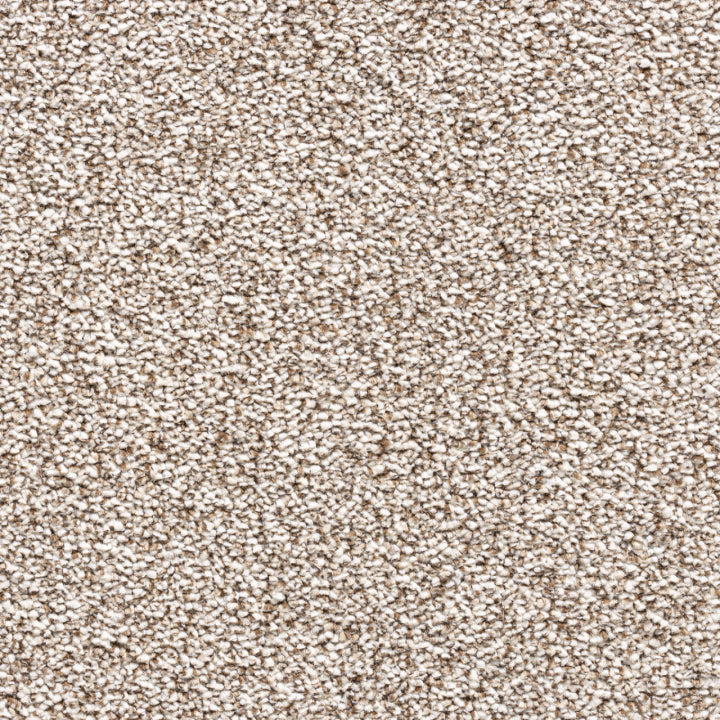 Vloerhuis Nederland Staircase with Carpet