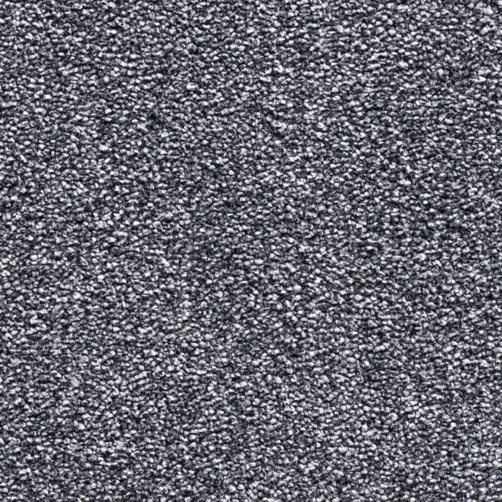 Vloerhuis Nederland Staircase with Carpet