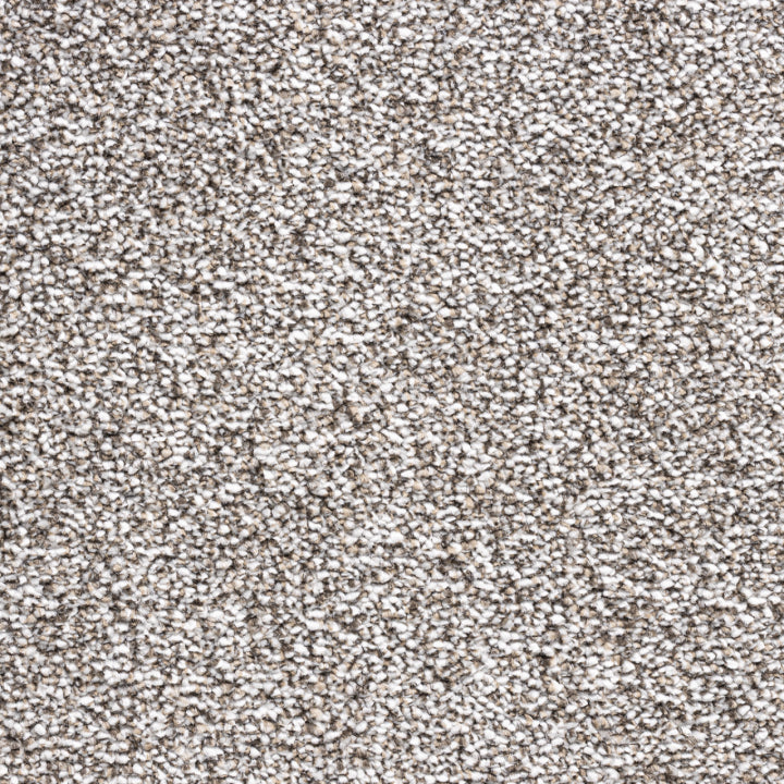 Vloerhuis Nederland Staircase with Carpet
