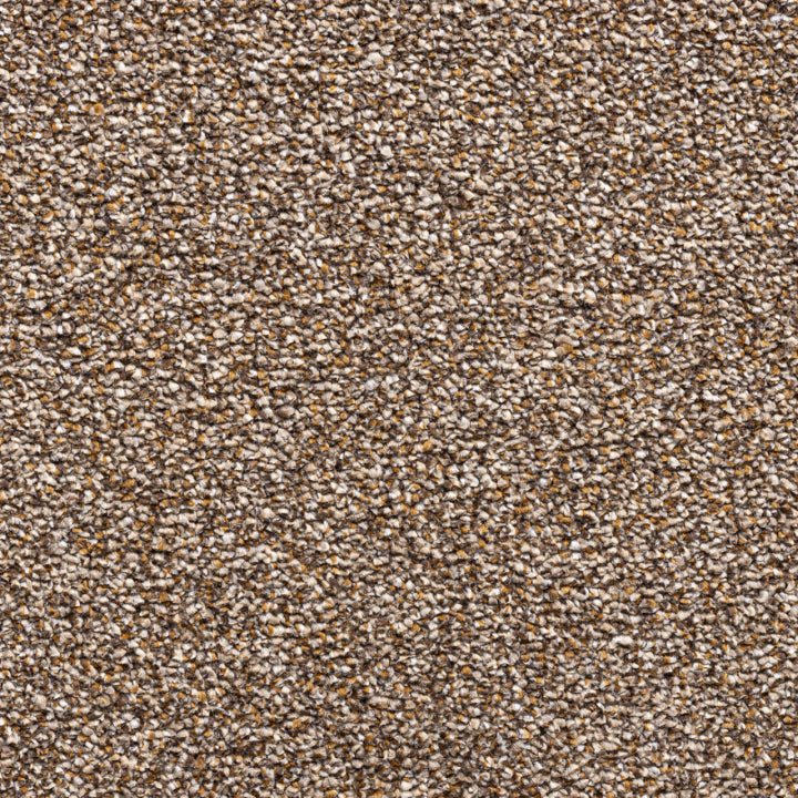 Vloerhuis Nederland Staircase with Carpet
