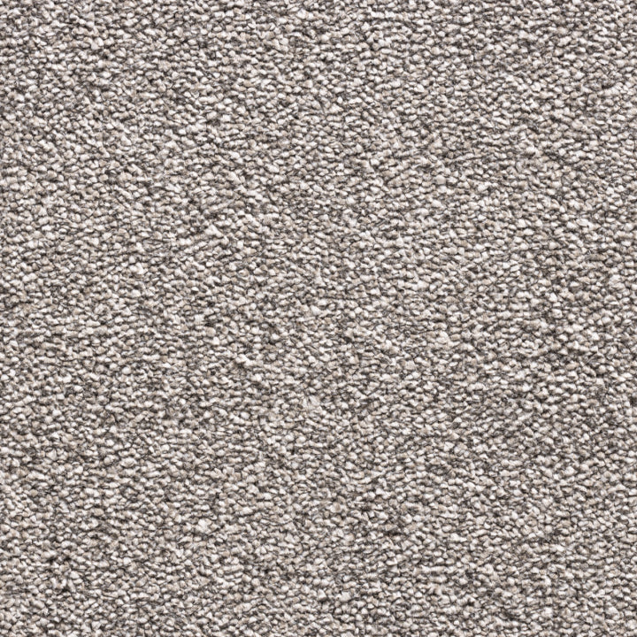 Vloerhuis Nederland Staircase with Carpet