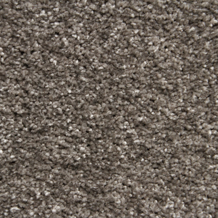 Vloerhuis Nederland Staircase with Carpet