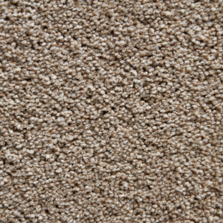 Vloerhuis Nederland Staircase with Carpet