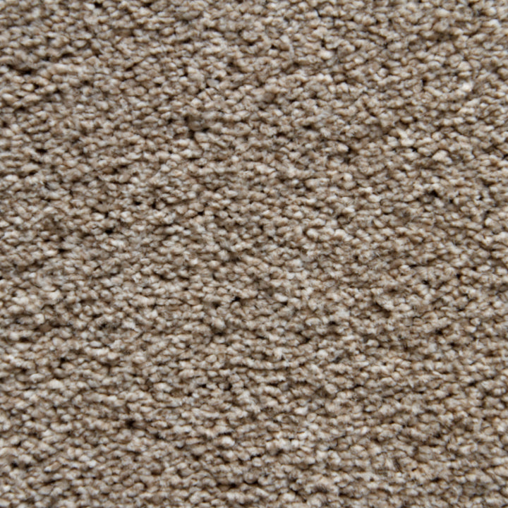Vloerhuis Nederland Staircase with Carpet