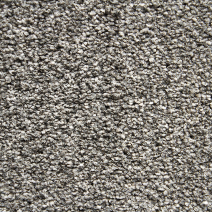 Vloerhuis Nederland Staircase with Carpet