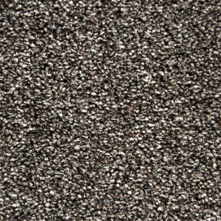 Vloerhuis Nederland Staircase with Carpet