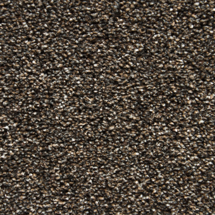 Vloerhuis Nederland Staircase with Carpet