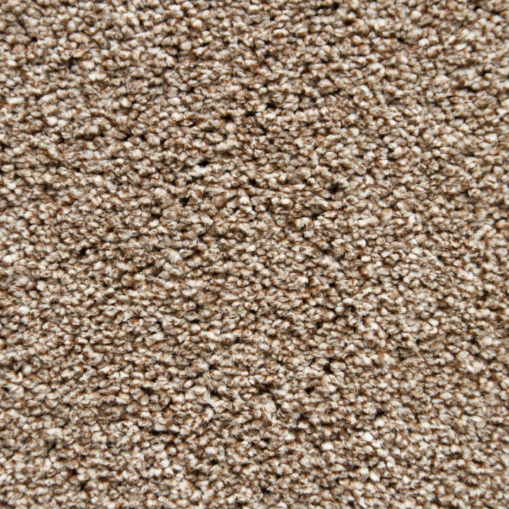 Vloerhuis Nederland Staircase with Carpet