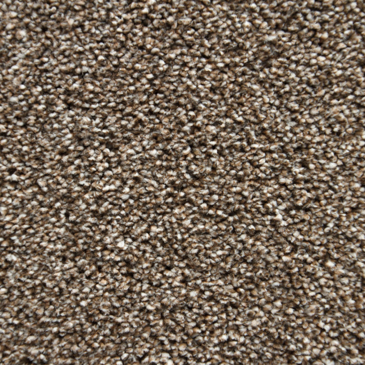 Vloerhuis Nederland Staircase with Carpet