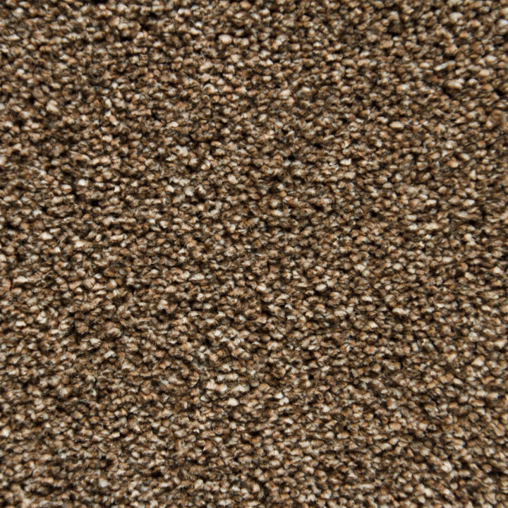 Vloerhuis Nederland Staircase with Carpet