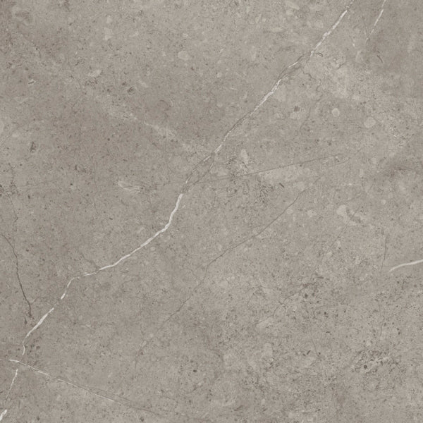 Floorward - Caro Elephant's Ear P93
