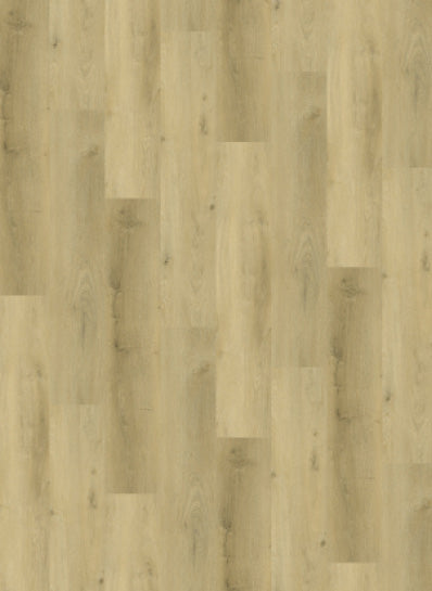 Gelasta Country 4304 (dryback) Prestige Oak Light