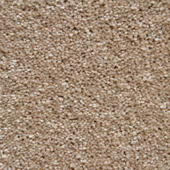 Vloerhuis Nederland Staircase with Carpet