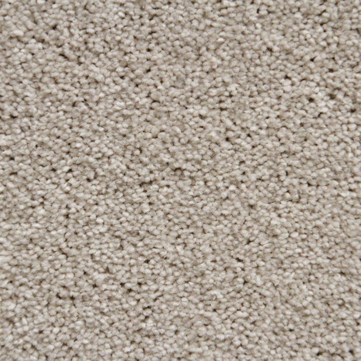 Vloerhuis Nederland Staircase with Carpet