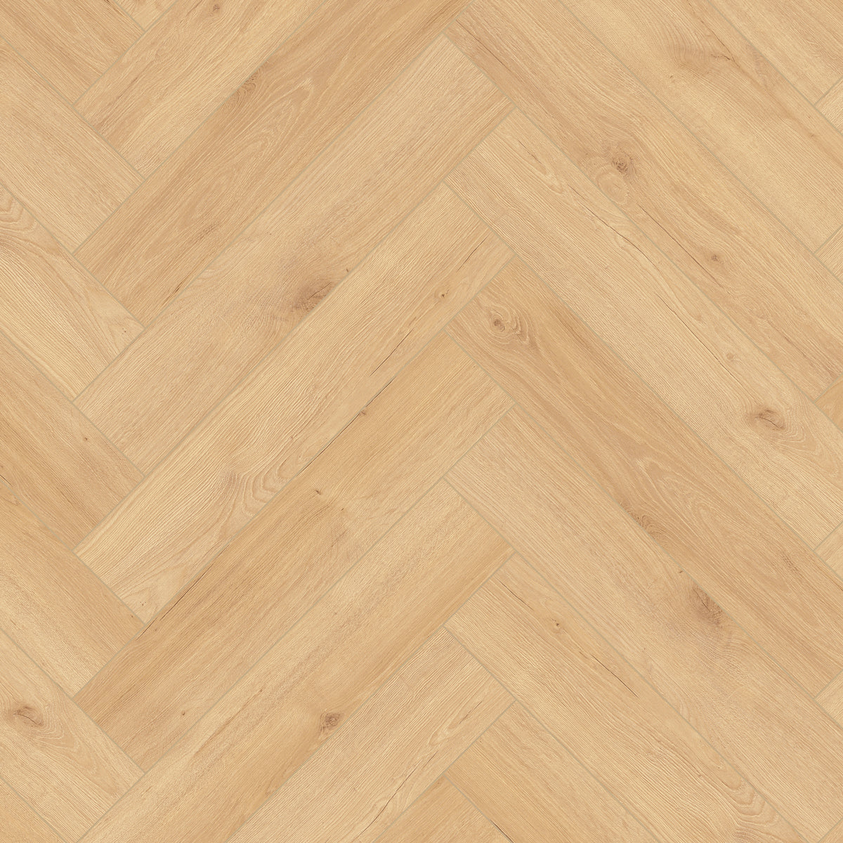 Floor House Netherlands Herringbone Nature