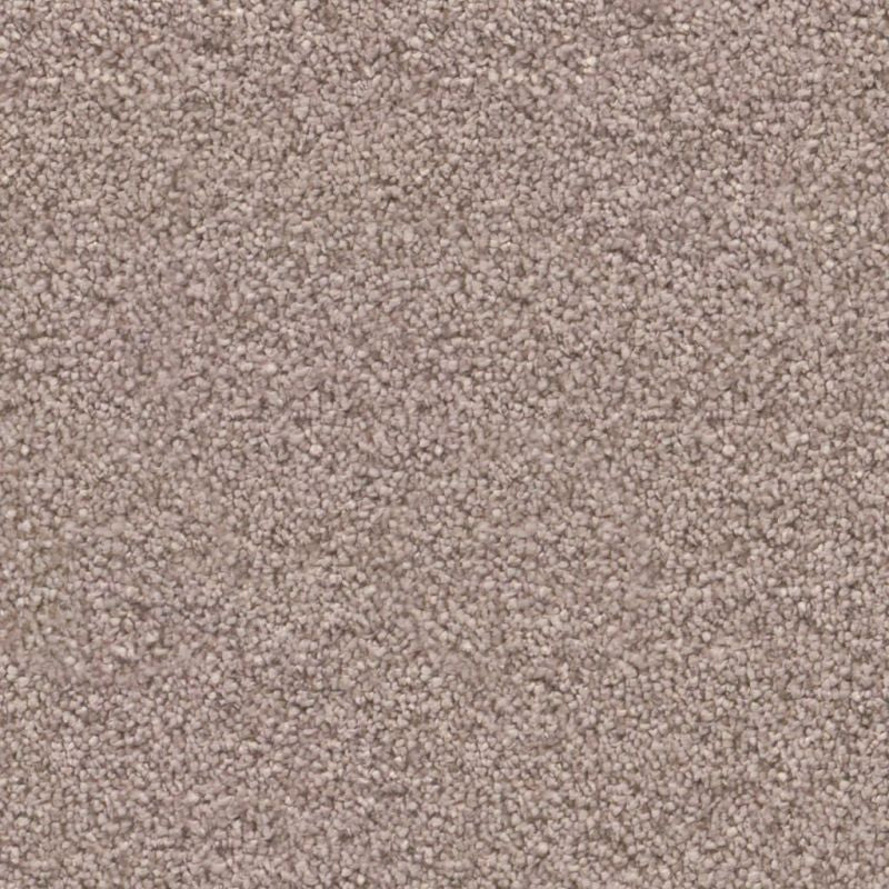 Clveland Collectie Tapijt