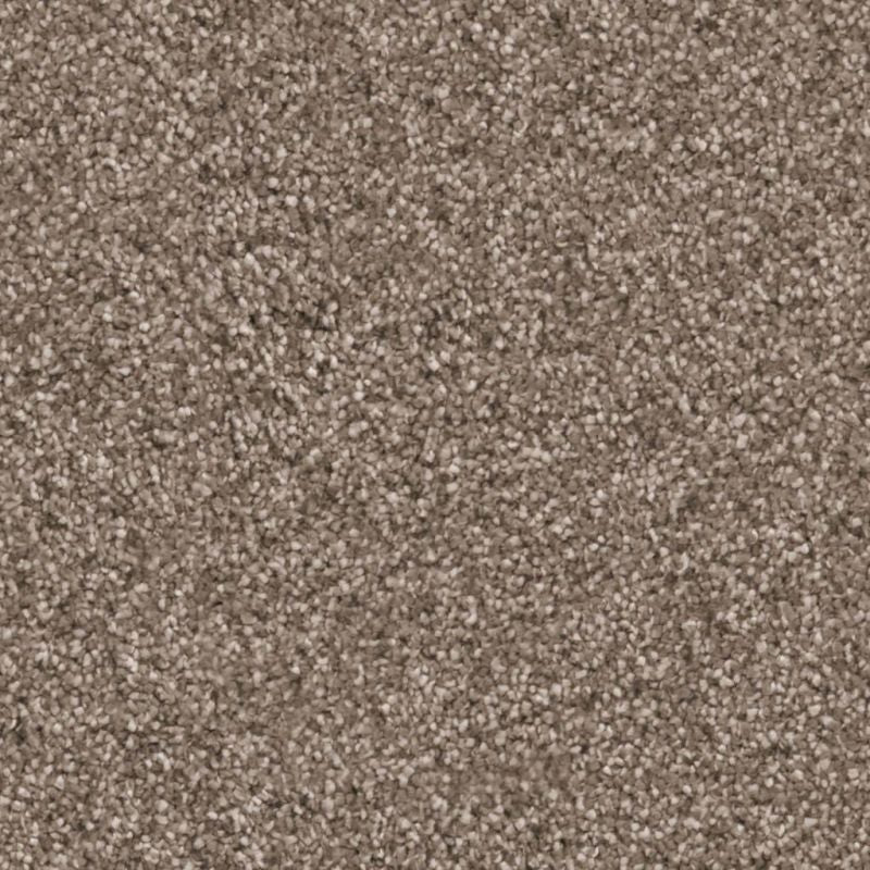 Clveland Collectie Tapijt