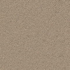 Dallas Collection Carpet