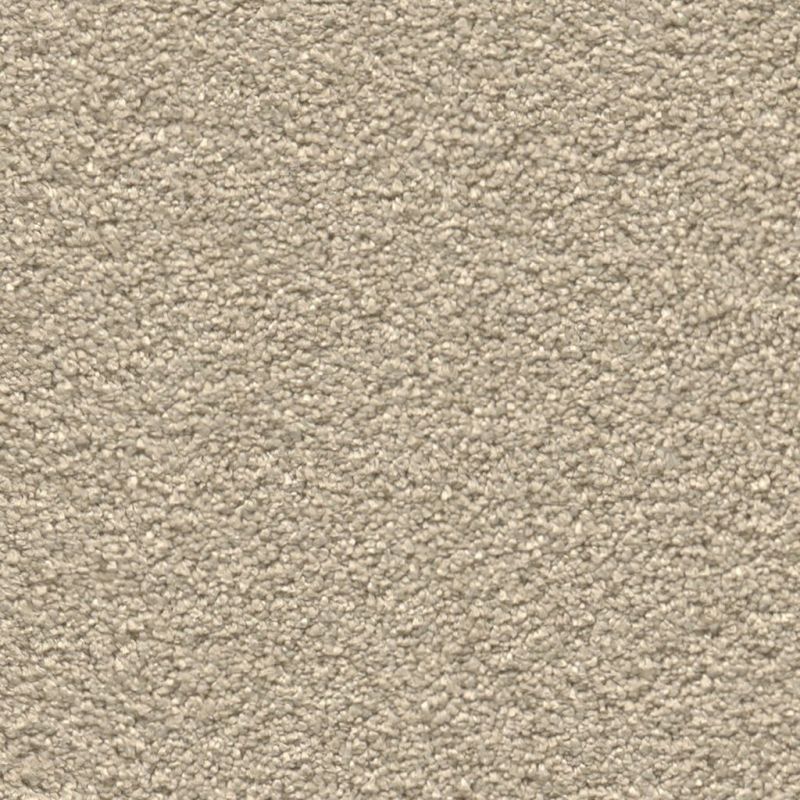 Magnifico Collection Carpet