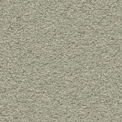 Magnifico Collection Carpet